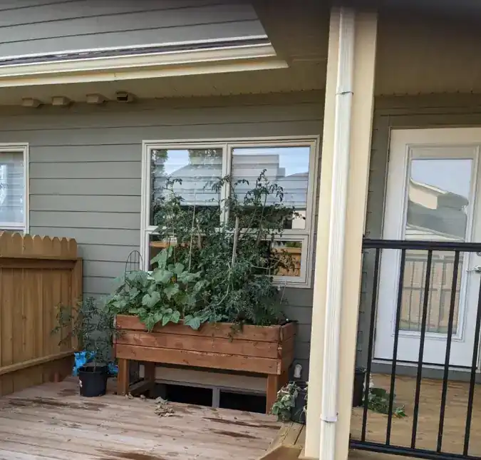 Stained pine tomato planter on a backyard deck with growing plants